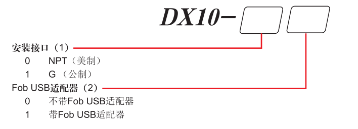 DX10 ѡ.png